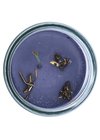 Protection 7 Day Spell Candle